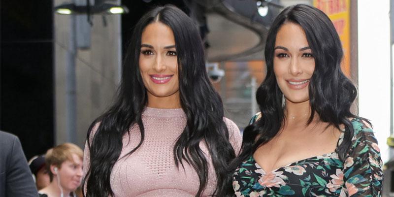 Brie Bella Nikki Bella