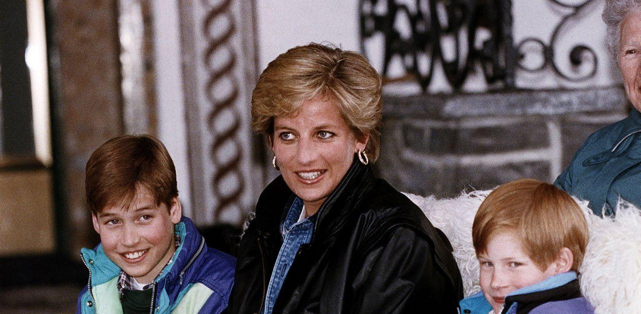 princess diana wouldnt stand prince harry prince william feud