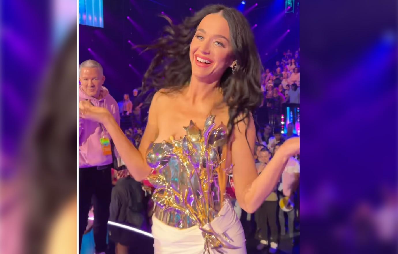katy perry scolded for wasting food after singer throws pizza into the crowd